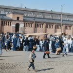 Milk Line Petrograd 1917