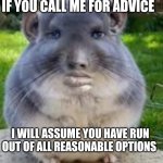 Disappointed Chinchilla | IF YOU CALL ME FOR ADVICE; I WILL ASSUME YOU HAVE RUN OUT OF ALL REASONABLE OPTIONS | image tagged in disappointed chinchilla | made w/ Imgflip meme maker