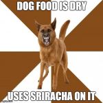 DOG FOOD IS DRY USES SRIRACHA ON IT | made w/ Imgflip meme maker