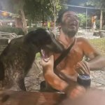 Man and dog laughing meme