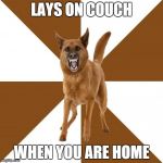 LAYS ON COUCH WHEN YOU ARE HOME | made w/ Imgflip meme maker
