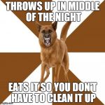 THROWS UP IN MIDDLE OF THE NIGHT EATS IT SO YOU DON'T HAVE TO CLEAN IT UP | made w/ Imgflip meme maker
