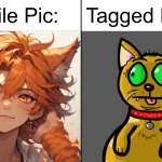 Profile Pic vs Tagged Photo