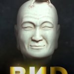 VID's Current Logo meme