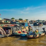 springtrap born in Cần Thơ