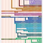 25 yrs timeline of Mexican cartels meme