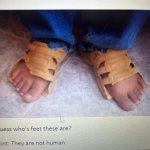 When SNAP benefits end ?