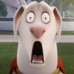 Krypto the superdog shocked