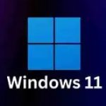 Windows 11