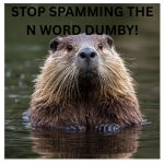 stop spamming the n word dummy