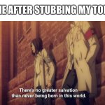 One of the most painful things you can experience... | ME AFTER STUBBING MY TOE: | image tagged in there's no greater salvation than never being born in this world | made w/ Imgflip meme maker
