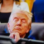 Trump Asleep