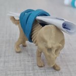 Dino skeleton bringing message template