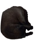 Mirris from Falkenberg