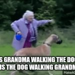 ._o | IS GRANDMA WALKING THE DOG OR IS THE DOG WALKING GRANDMA? | image tagged in gifs,funny | made w/ Imgflip video-to-gif maker