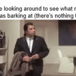 if there is nothing there, STOP BARKING | Me looking around to see what my dog was barking at (there's nothing there): | image tagged in gifs,dogs,pets,memes | made w/ Imgflip video-to-gif maker