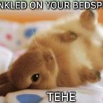 Bunny | I TINKLED ON YOUR BEDSPREAD TEHE | image tagged in bunny | made w/ Imgflip meme maker