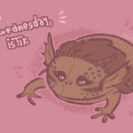 It's Wednesday, istik