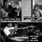 Understandable, We Reap What We Sow meme