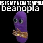 beanopla | THIS IS MY NEW TEMPALETE | image tagged in beanopla | made w/ Imgflip meme maker