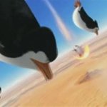 skydiving penguins GIF Template