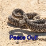 Thursday | Peace Out! | image tagged in thursday,snake | made w/ Imgflip meme maker