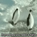 Helping flipper | Sometimes you need a hand | image tagged in gifs,hand,push,penguin | made w/ Imgflip video-to-gif maker