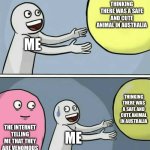 Why platypus | THINKING THERE WAS A SAFE AND CUTE ANIMAL IN AUSTRALIA; ME; THINKING THERE WAS A SAFE AND CUTE ANIMAL IN AUSTRALIA; THE INTERNET TELLING ME THAT THEY ARE VENOMOUS; ME | image tagged in memes,running away balloon | made w/ Imgflip meme maker