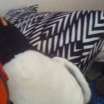 Waddles the Penguin with a gun