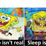 sleep isn't real vs sleep is real meme