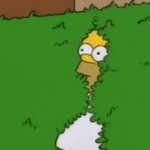 Homer hide GIF Template