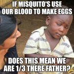 Third World Skeptical Kid | IF MISQUITO'S USE OUR BLOOD TO MAKE EGGS; DOES THIS MEAN WE ARE 1/3 THERE FATHER? | image tagged in memes,third world skeptical kid | made w/ Imgflip meme maker