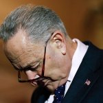 Chuck Schumer crying