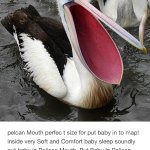 Put Baby in Pelican Mouth