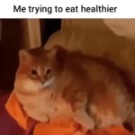 me trying to eat healthier GIF Template