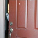 chihuahua door
