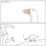 Goose Chasing TheyCanTalk theycantalkcomics official