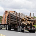 Log truck