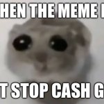 eltiT egamI | ME WHEN THE MEME RESET; WON’T STOP CASH GRABS | image tagged in sad hamster | made w/ Imgflip meme maker