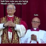 Mewwwww | "Awww look how cute you are laying there! Would you like a belly rub?"; Cats | image tagged in pope leo xiv is happy,cats,pets | made w/ Imgflip meme maker