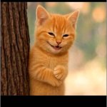 Cat Rubbing Hands Behind Tree