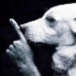 dog shushing meme