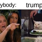 Politics in a nutshell: | everybody:; trump: | image tagged in memes,woman yelling at cat,trump,funny,politics | made w/ Imgflip meme maker