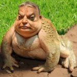 orban frog template