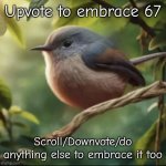 W 67 | Upvote to embrace 67; Scroll/Downvote/do anything else to embrace it too | image tagged in no balls,six seven,67,w meme,based | made w/ Imgflip meme maker