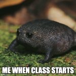 Me in class (sad frog) | ME WHEN CLASS STARTS | image tagged in sad toad,memes,funny,sad,school | made w/ Imgflip meme maker