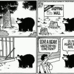 I've always been here