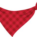 Red Bandana