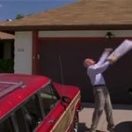 pizza throw GIF Template