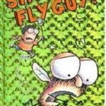 Shoo, fly guy!